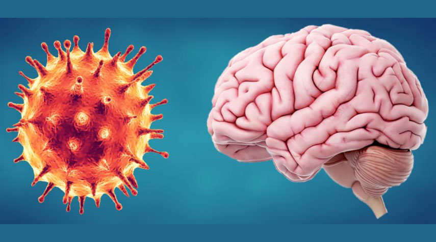 ضبابية الدماغ في حالات "كوفيد الطويلة" قد تكون مرتبطة بجلطات الدم!