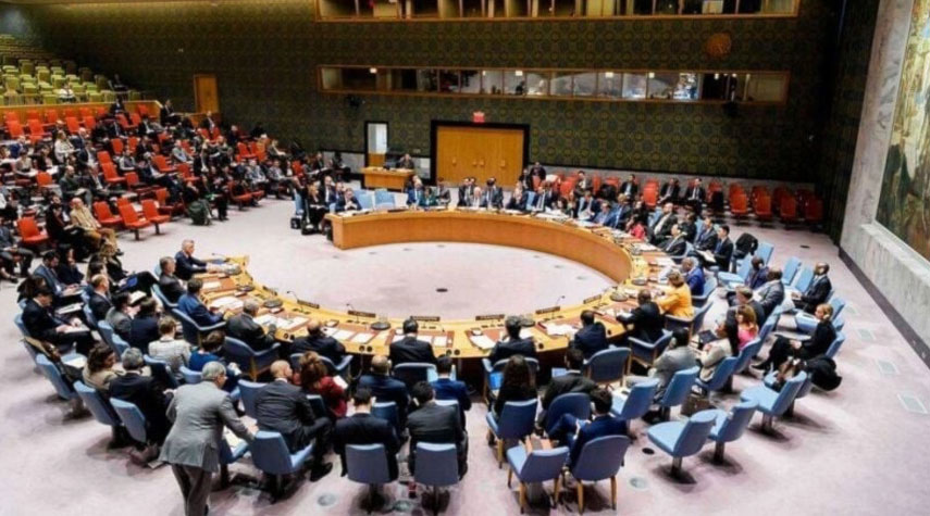 المندوب الروسي: مجلس الأمن خاضغ للدول الغربية 