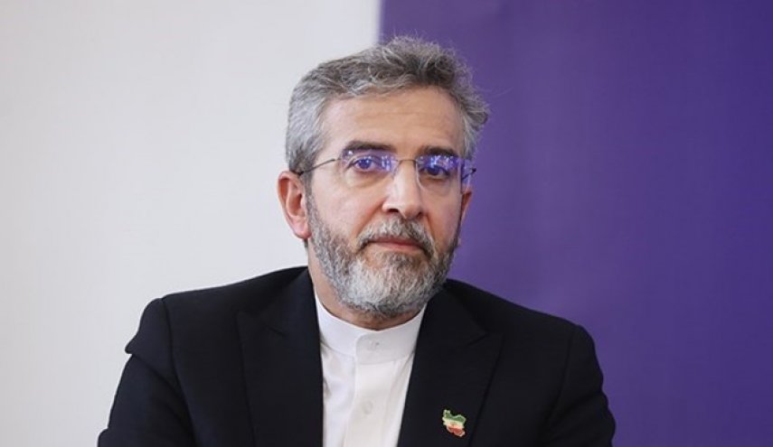 باقري: إيران تولي اهتماما خاصا بمصير جميع مواطنيها