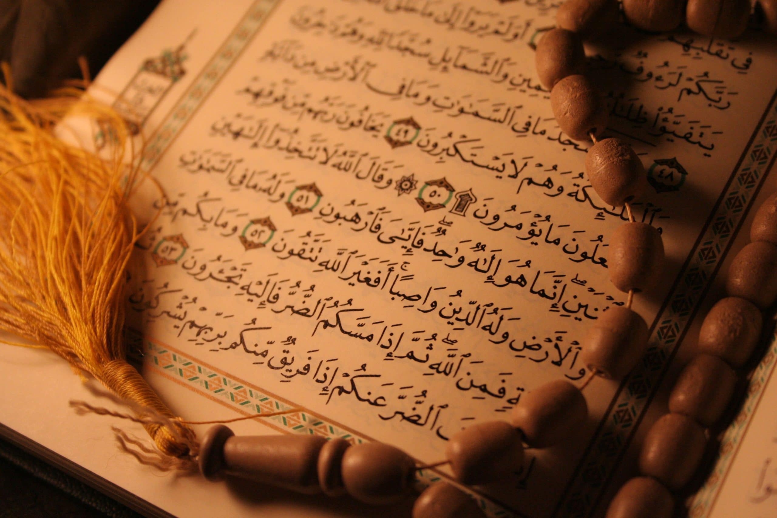 منهج القرآن في بناء الإنسان
