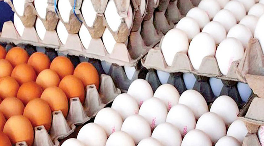 ايران... صادرات البيض تسجل رقما قياسيا