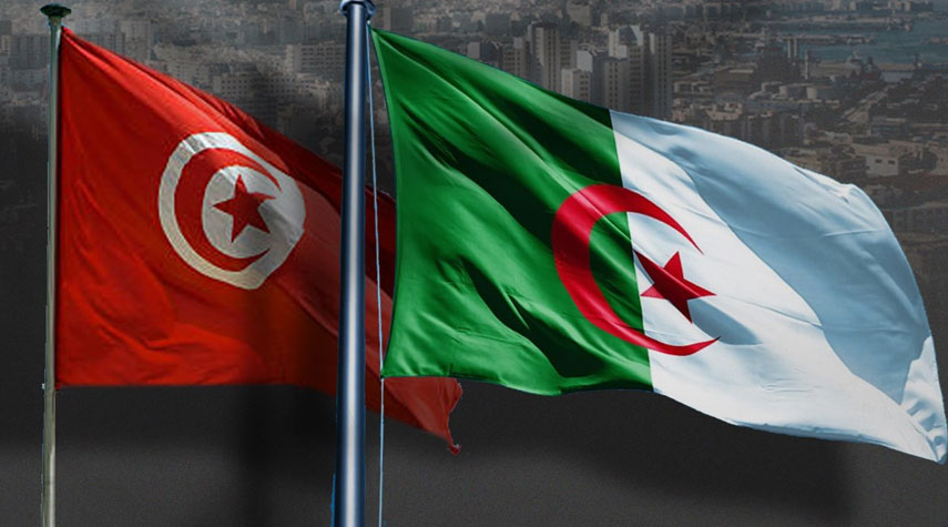 الجزائر وتونس يرفضات المشاركة في قمة القاهرة