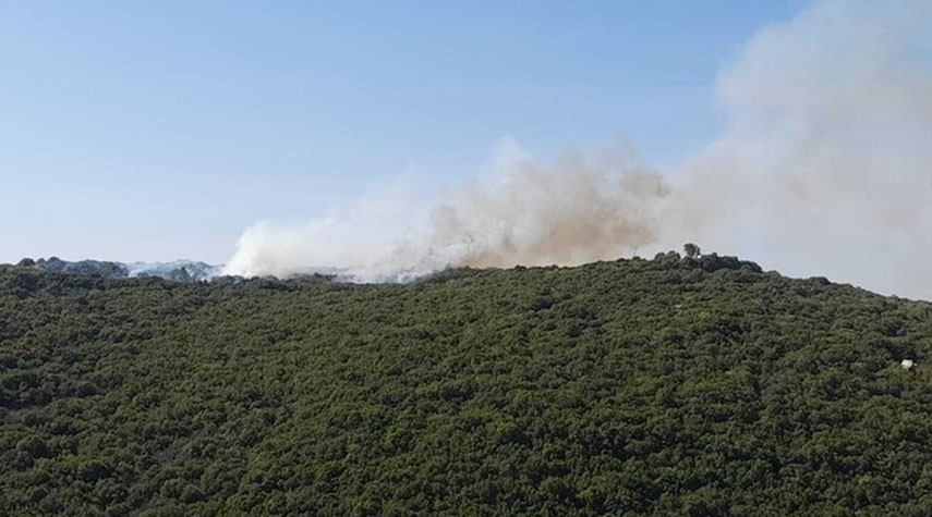 تدمير برج مراقبة تابع للجيش اللبناني جنوبي البلاد