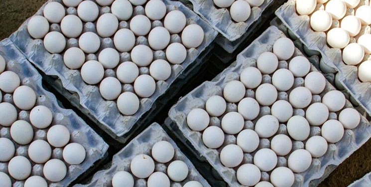 صادرات البيض الايراني تتخطى الـ 100 الف طن خلال 7 اشهر