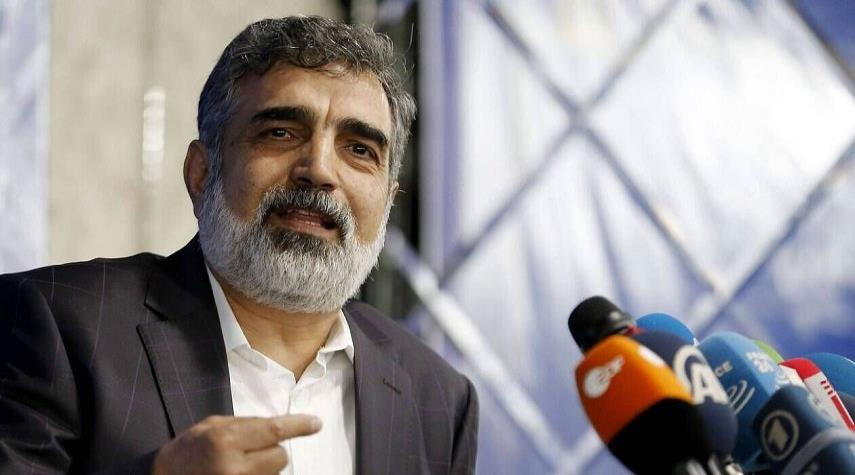 إيران تنصح مدير الوكالة الدولية الذرية بالتخلي عن مواقفه العاطفية