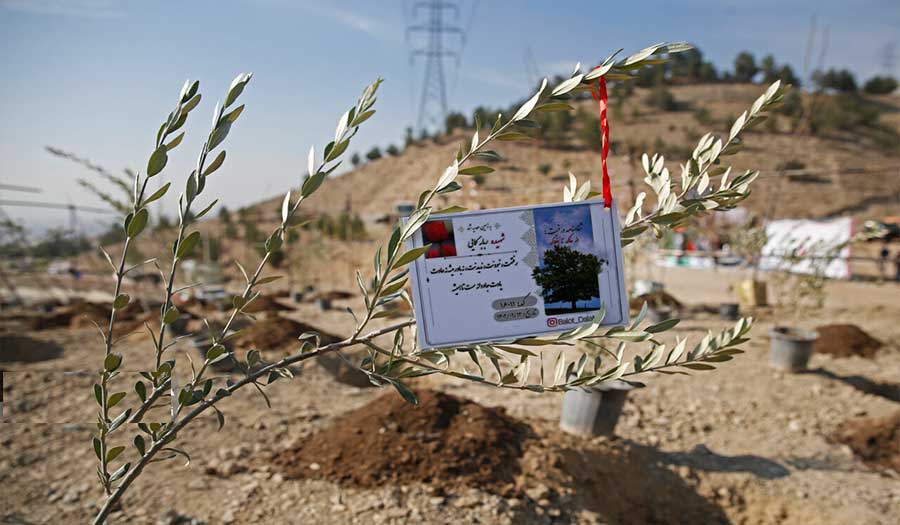 بالصور: زرع 5 آلاف شتلة إحياء لذكرى الشهداء الأطفال والنساء في غزة