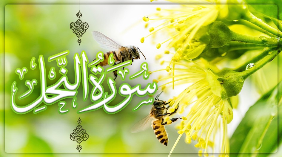 سورة النحل.. الحديث عن النحل والعسل الذي فيه شفاء للناس