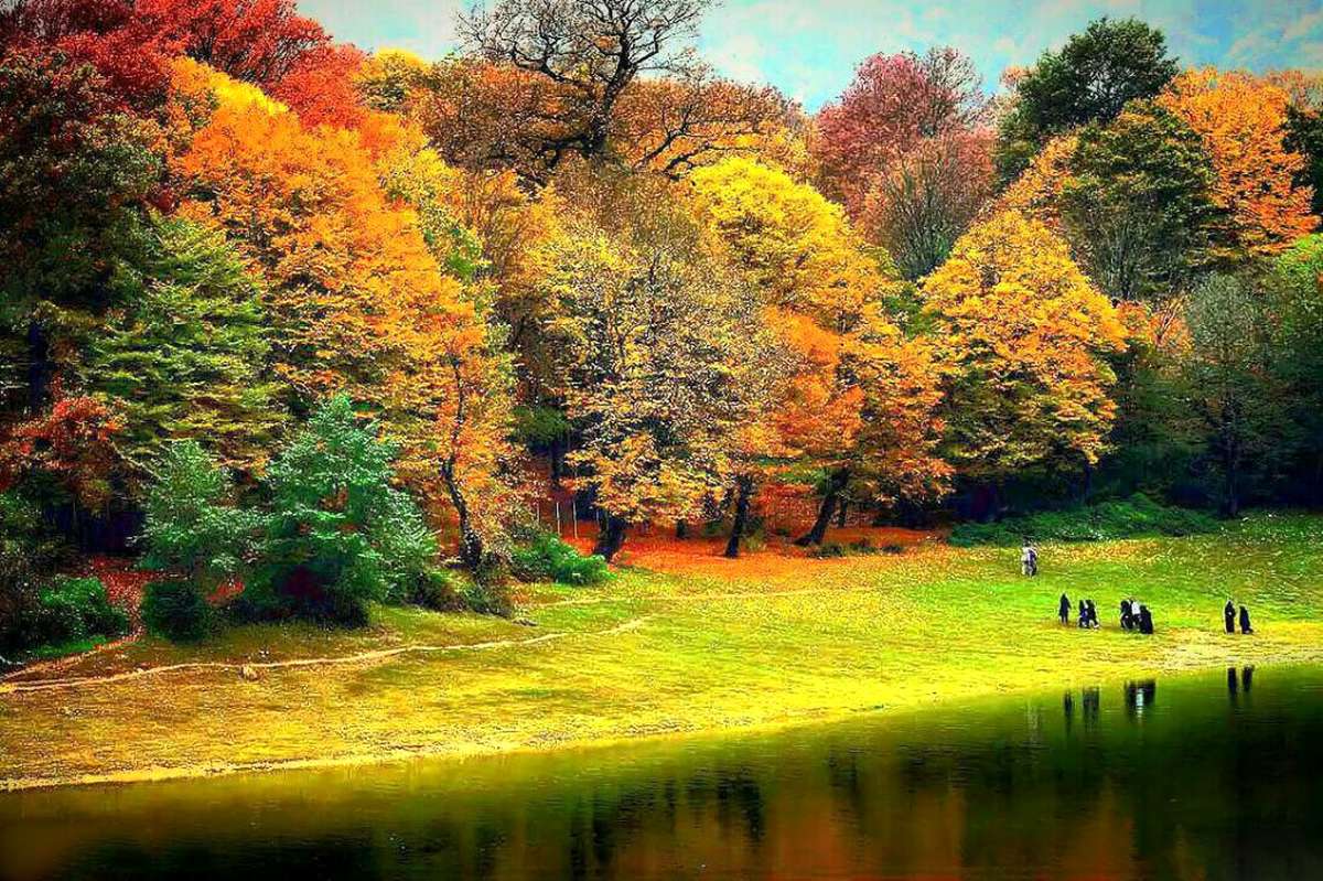 بالصور.. جمال الخريف في غابات "هيركاني" الإيرانية