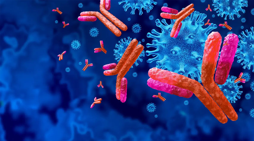 اكتشاف أجسام مضادة يمكنها استهداف أنواع من الإنفلونزا!