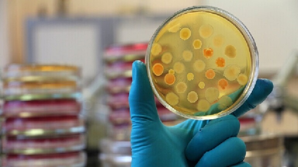 اكتشاف "لا مثيل له" في بكتيريا عملاقة في المحيطات