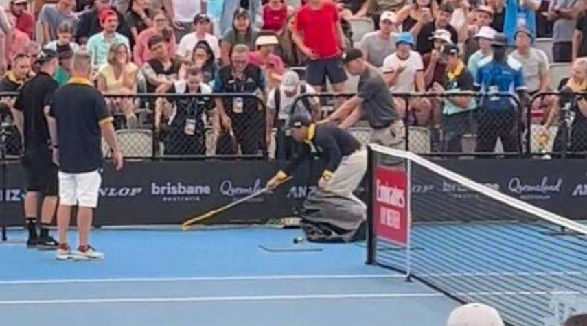 ثعبان سام يوقف مباراة تنس في أستراليا