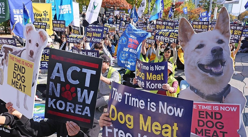 كوريا الجنوبية تحظر استهلاك لحوم الكلاب