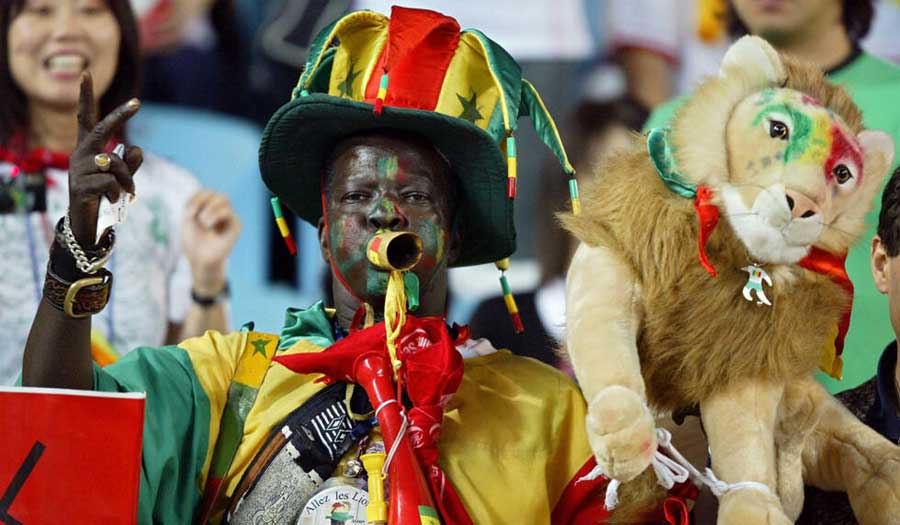 كأس أمم أفريقيا 2023: أسود ونسور وفيلة.. تعرف على قصص وأسرار ألقاب المنتخبات