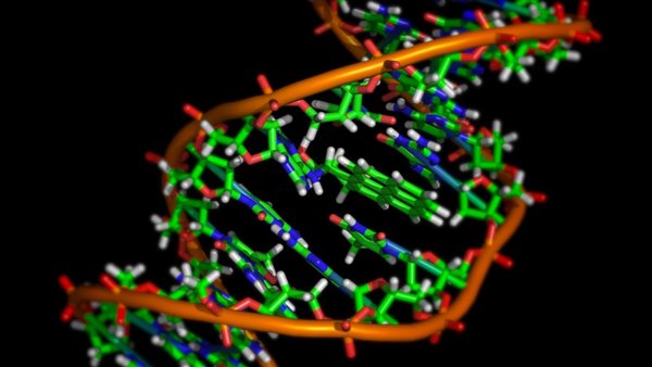 الكشف عن بروتين يمكنه التغلب على سرطان الأمعاء 