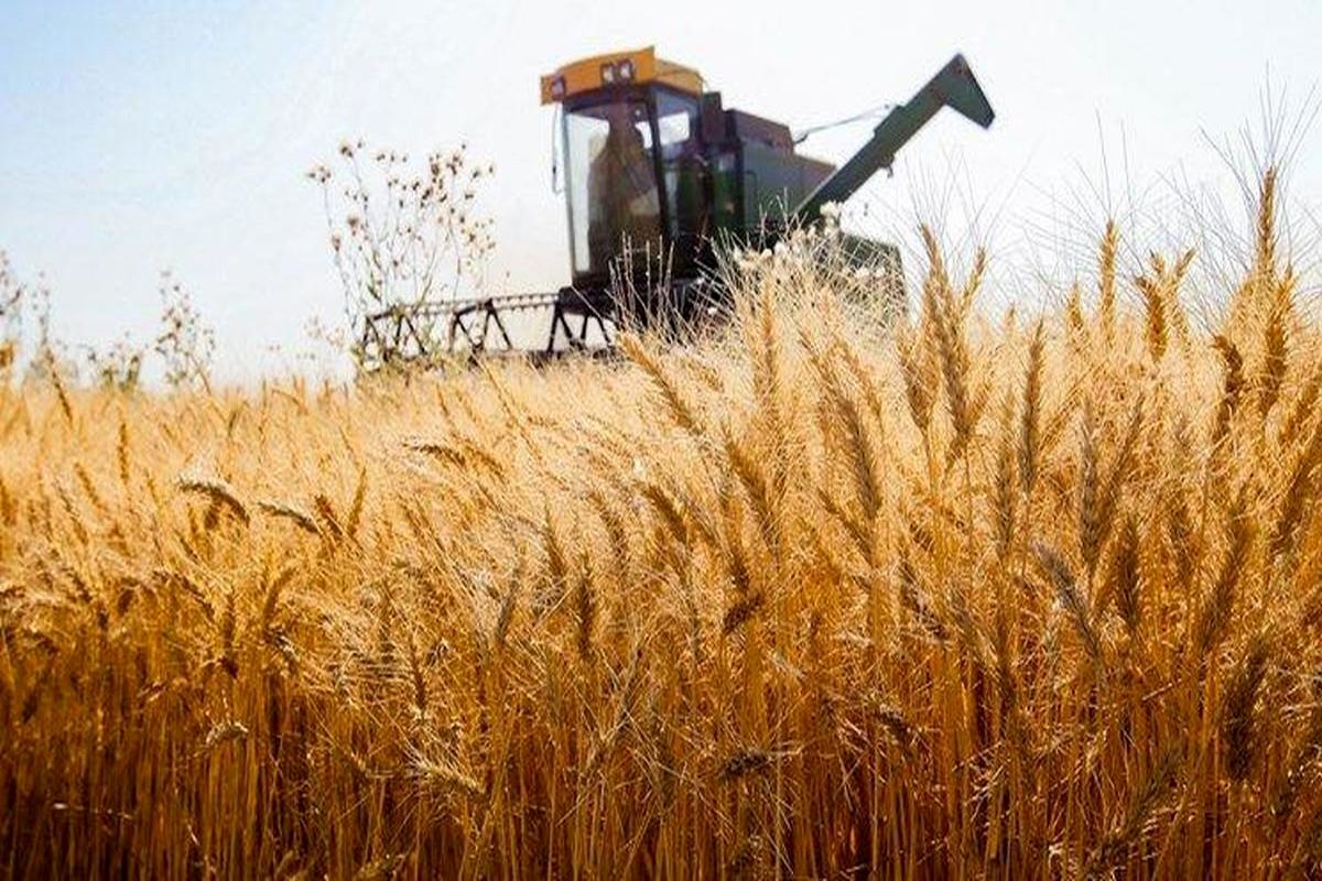 كازاخستان وقطر تتفاوضان لنقل الحبوب عبر إيران