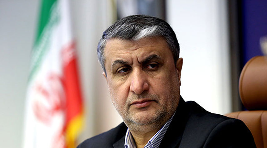 إسلامي: زيارة غروسي قد تتزامن مع المؤتمر النووي الدولي الأول في طهران