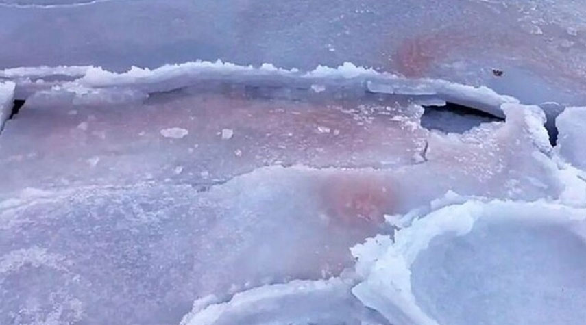 العلماء الروس يكشفون سبب ظاهرة "الثلج الدموي" في بريموريه