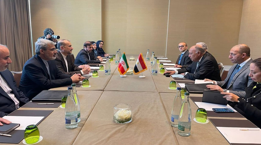 وزير الخارجية الإيراني يلتقي نظيره المصري في جنيف