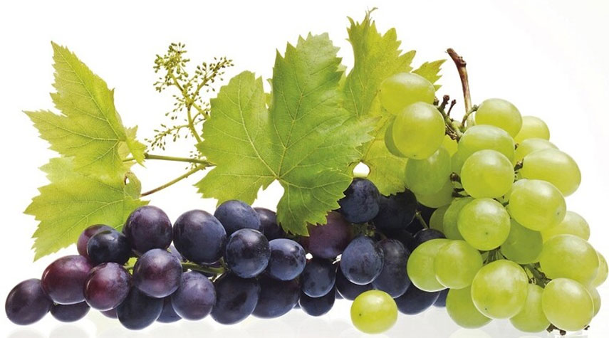 دراسة: ثمار العنب تطيل عمر الإنسان خمس سنوات