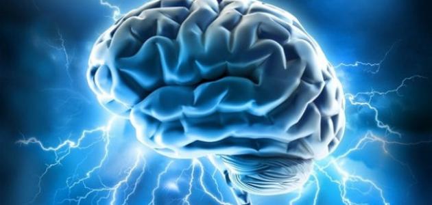 وصفة جديدة لتحسين وظائف المخ لدى كبار السن