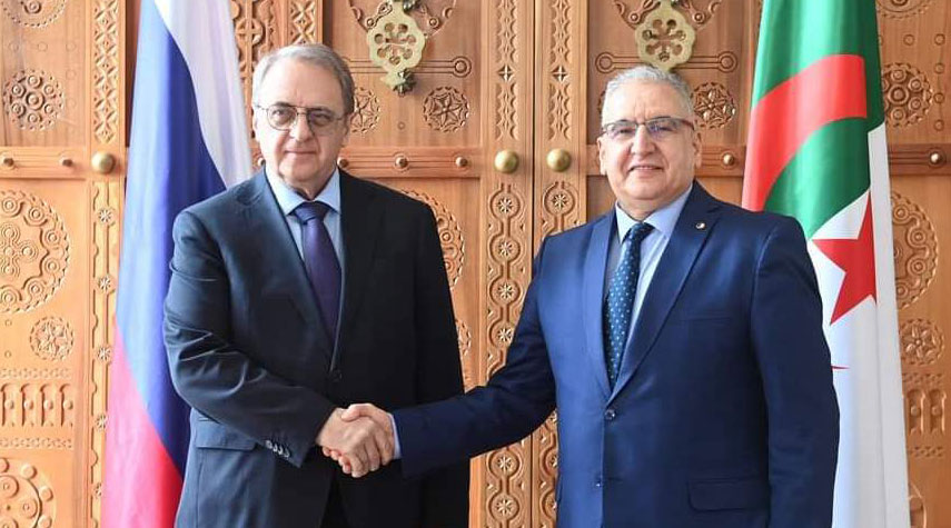 الجزائر وروسيا تركزان على زيادة التعاون بينهما