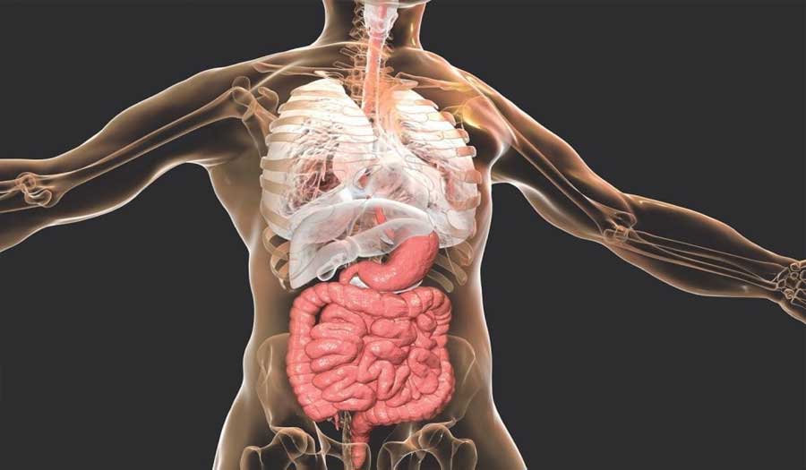 شكل الجسم يرتبط بزيادة خطر الإصابة بسرطان القولون