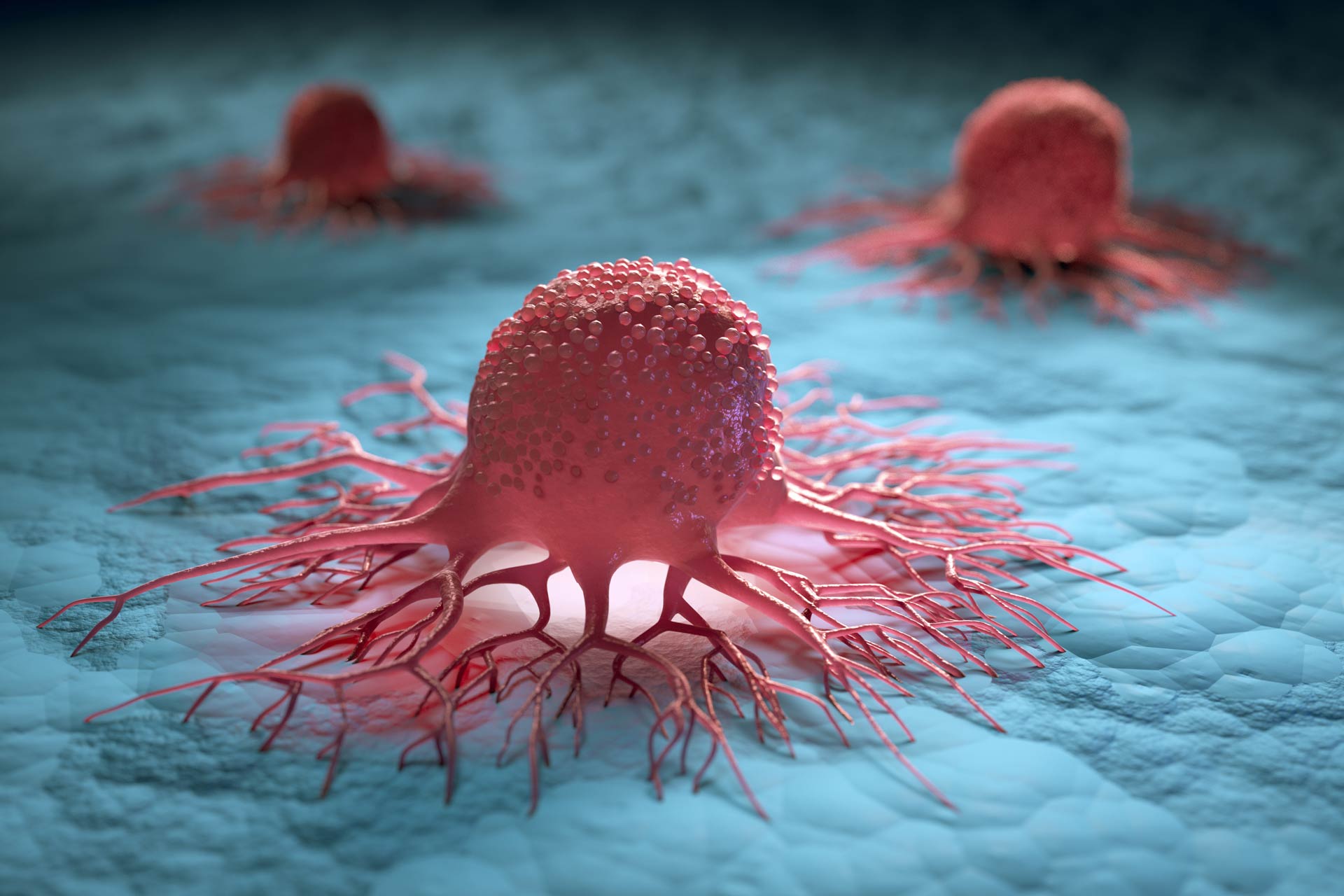 تقنية جديدة لرؤية الخلايا السرطانية من الداخل