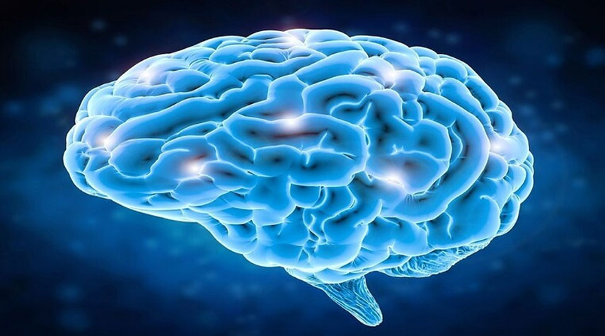 العلماء يحددون منطقة في دماغ الإنسان مرتبطة بالإيثار