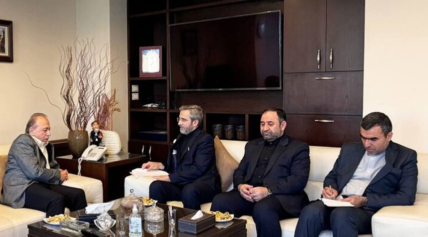 وزير الخارجية الإيراني بالوكالة يلتقي رئيس مكتب الأمن الوطني السوري في دمشق