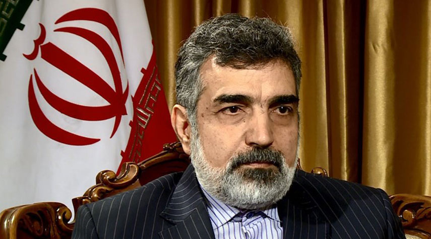 كمالوندي: ايران لن تتنازل عن حقوقها المشروعة امام الضغوط السياسية