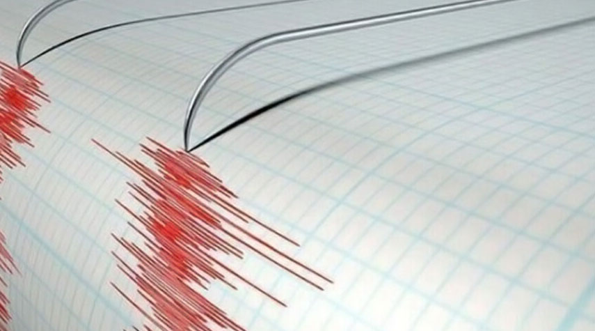 زلزال بقوة 4 درجات يضرب محافظة بوشهر جنوبي إيران